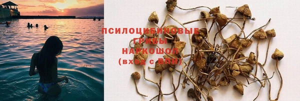 сатива Богородск