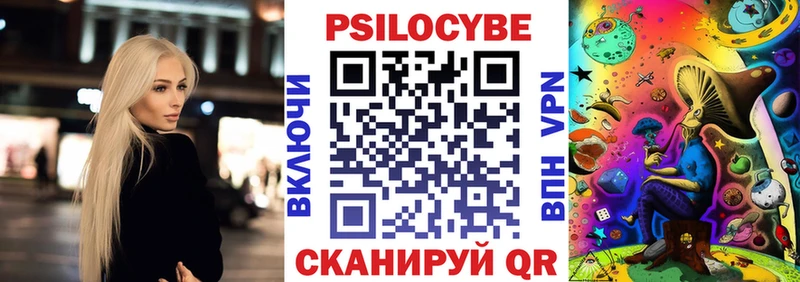 Псилоцибиновые грибы Cubensis  где можно купить наркотик  Великий Устюг 